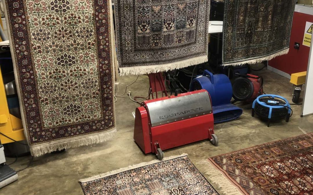 Rugs, Rugs and even more Rugs